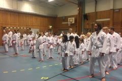 uppställning gradering